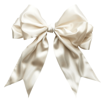 Nơ cổ mèo hình nơ bướm