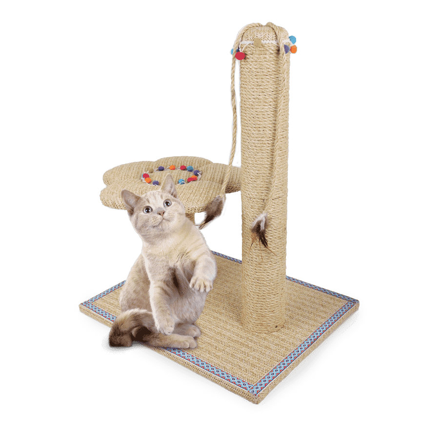 Trụ cào móng mini